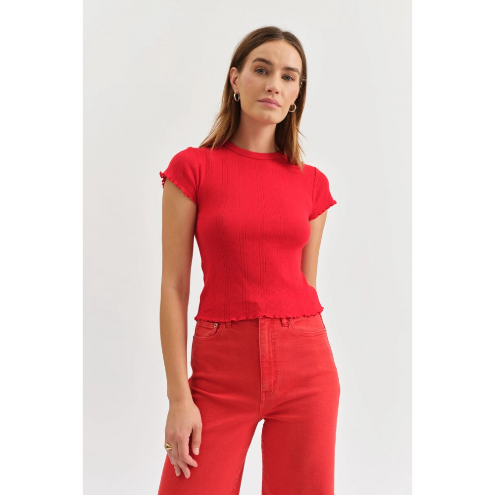 Divino Baby Tee